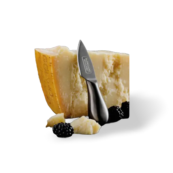 parmigiano_reggiano_featured_2